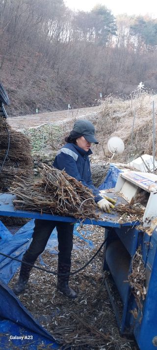 이일철 (조이산골)님의 작성글 사진
