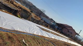 박순덕님의 자유주제 · 자유게시판 작성글 사진