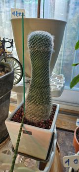 팜모닝 농사, 무엇이든 물어보세요!·참여글 게시글 이미지