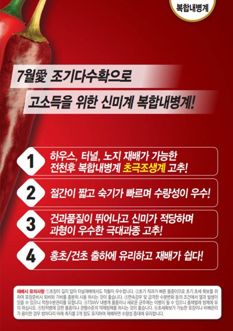 대산농사대장님의 장터 판매 상품 [7월애 1200립 고추 종자 고추 씨앗 극대과 조생종 매운맛 조기수확] 첨부 사진