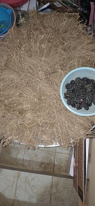 삼성농산님의 자유주제 · 자유게시판 작성글 사진