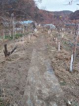 팜모닝 자유주제·자유게시판 게시글 이미지