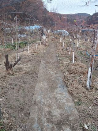 박상현님의 자유주제 · 자유게시판 작성글 사진