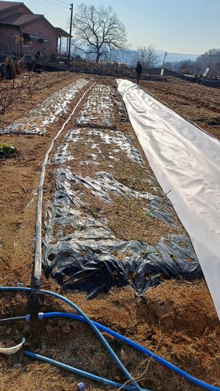 박순덕님의 자유주제 · 자유게시판 작성글 사진