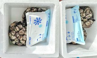 농부손녀님의 작성글 사진