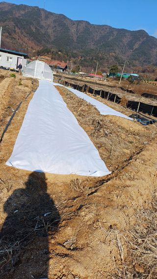 박순덕님의 자유주제 · 자유게시판 작성글 사진