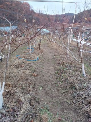 박상현님의 자유주제 · 자유게시판 작성글 사진