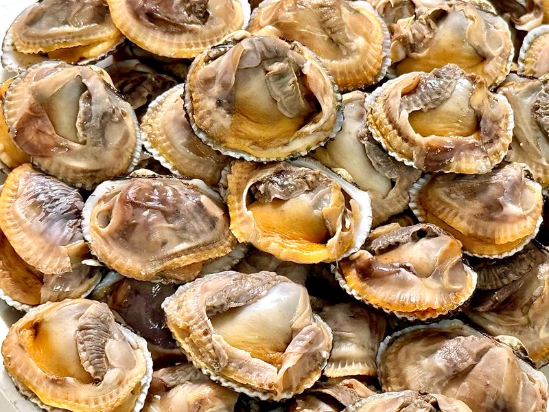 농부손녀님의 장터 판매 상품 [여수 제철 왕 새꼬막 1kg] 첨부 사진