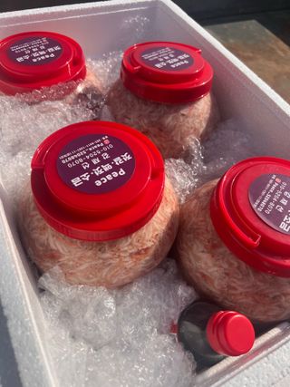 강재선님의 작성글 사진