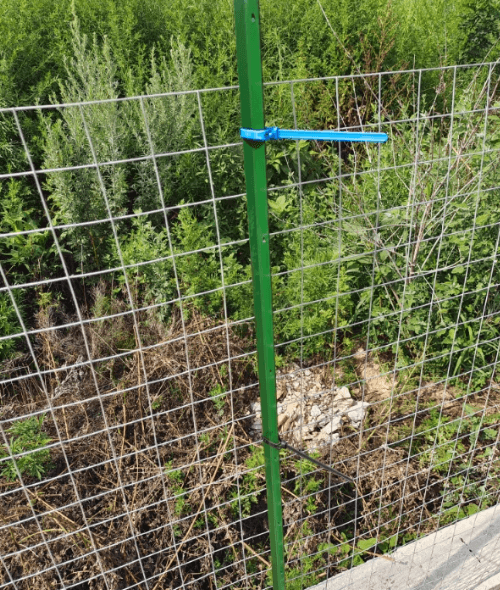 다이쏘(권자영)님의 장터 판매 상품 [울타리망 녹색철기둥 2.3M] 첨부 사진