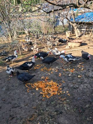 정상훈님의 자유주제 · 자유게시판 작성글 사진