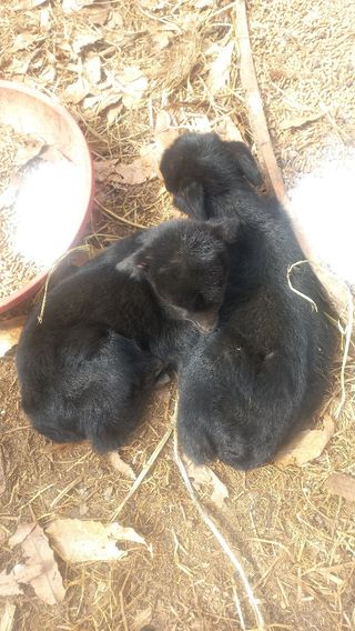 임수백 님의 작성글 사진