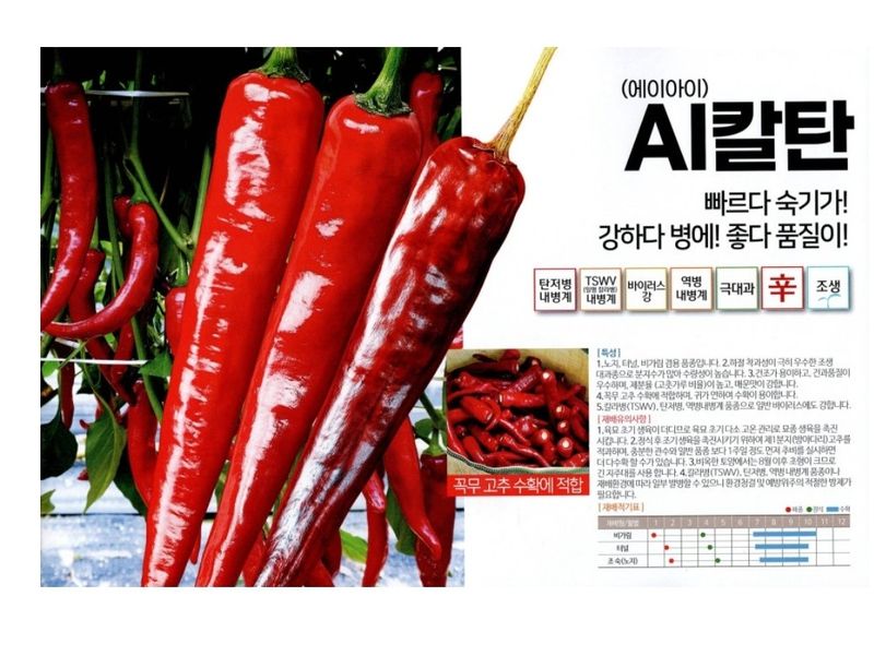 대산농사대장님의 장터 판매 상품 [AI칼탄 복합내병계 현대종묘] 첨부 사진