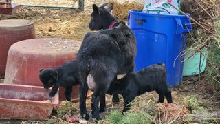 임수백 님의 작성글 사진