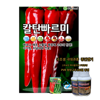 대산농사대장님의 고추 · 품종•종자 작성글 사진
