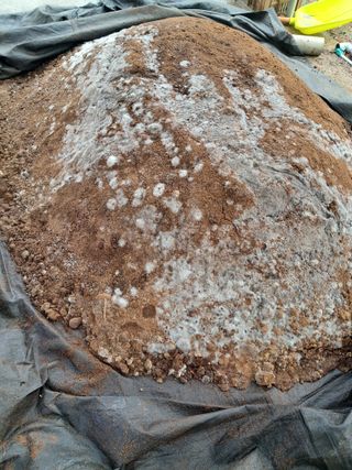 이천순님의 자유주제 · 사진전 작성글 사진