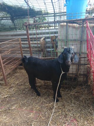 최제영님의 자유주제 · 자유게시판 작성글 사진