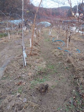 박상현님의 자유주제 · 자유게시판 작성글 사진