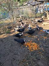 팜모닝 자유주제·자유게시판 게시글 이미지