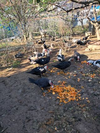 정상훈님의 자유주제 · 자유게시판 작성글 사진