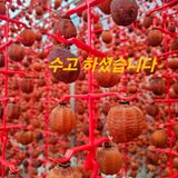 백용기님의 자유주제·자유게시판 작성글 사진