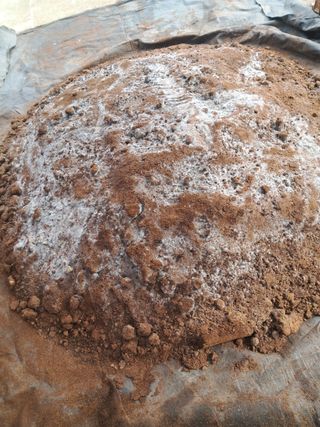 이천순님의 자유주제 · 사진전 작성글 사진