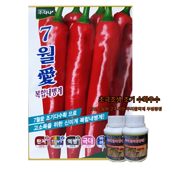 대산농사대장님의 장터 판매 상품 [7월애 1200립 고추 종자 고추 씨앗 극대과 조생종 매운맛 조기수확] 첨부 사진