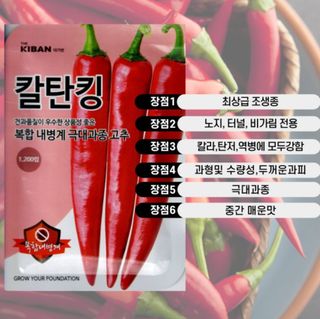 대산농사대장님의 작성글 사진