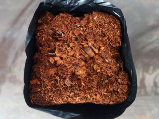 비티인터내셔널님의 자유주제 · 자유게시판 작성글 사진