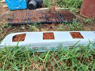 비티인터내셔널님의 자유주제 · 자유게시판 작성글 사진