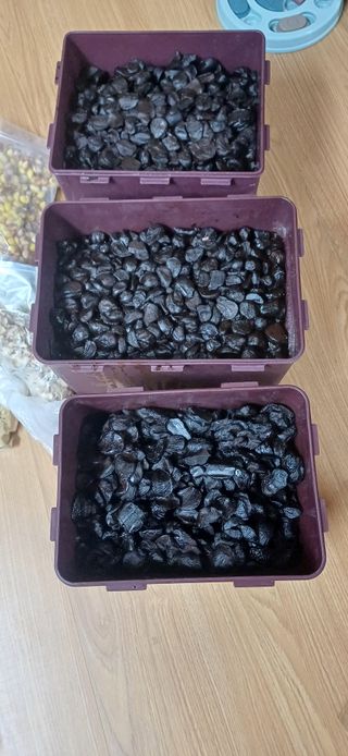 삼성농산님의 자유주제 · 자유게시판 작성글 사진