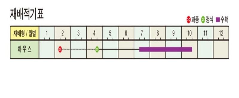 대산농사대장님의 장터 판매 상품 [오스템테라 초극조생 극대과] 첨부 사진