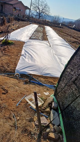 박순덕님의 자유주제 · 자유게시판 작성글 사진