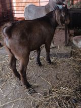 팜모닝 자유주제·자유게시판 게시글 이미지