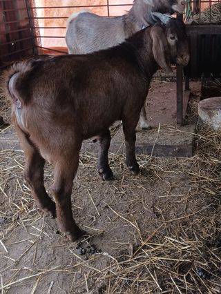 최제영님의 자유주제 · 자유게시판 작성글 사진