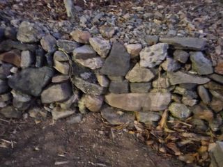 김용대님의 자유주제 · 자유게시판 작성글 사진