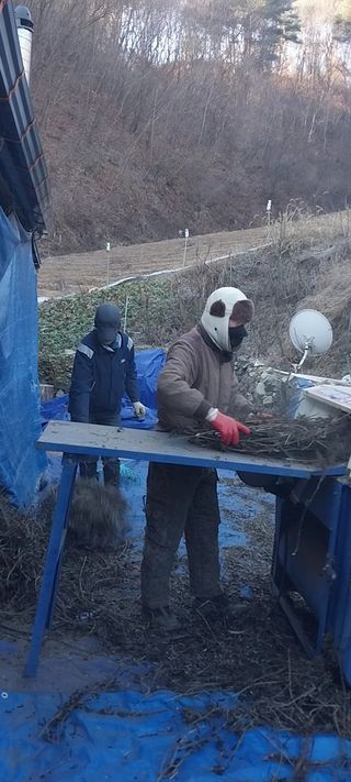 이일철 (조이산골)님의 작성글 사진