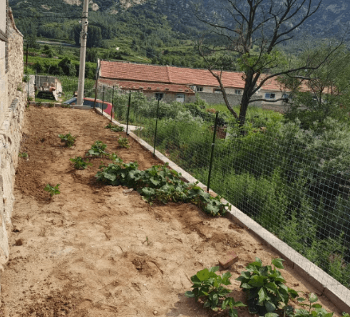 다이쏘(권자영)님의 장터 판매 상품 [울타리망 녹색철기둥 2.3M] 첨부 사진