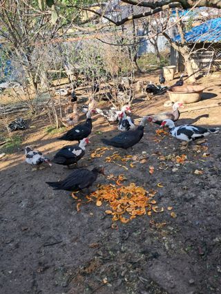 정상훈님의 자유주제 · 자유게시판 작성글 사진