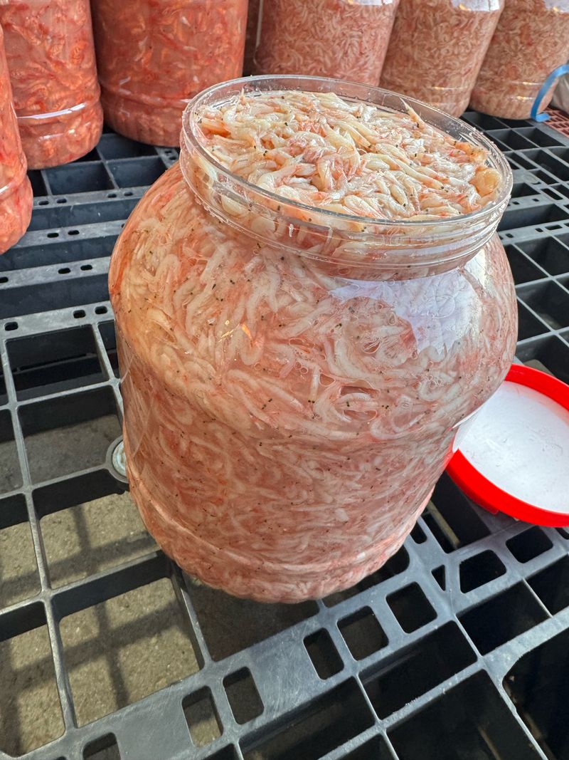 강재선님의 장터 판매 상품 [국산 햇흰새우젓5kg] 첨부 사진