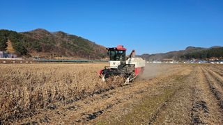 충북괴산 콩콩콩님의 자유주제 · 자유게시판 작성글 사진