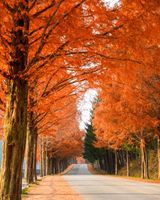 팜모닝 · 게시글 이미지