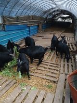 팜모닝 자유주제·자유게시판 게시글 이미지