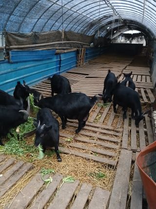 이옥신님의 자유주제 · 자유게시판 작성글 사진