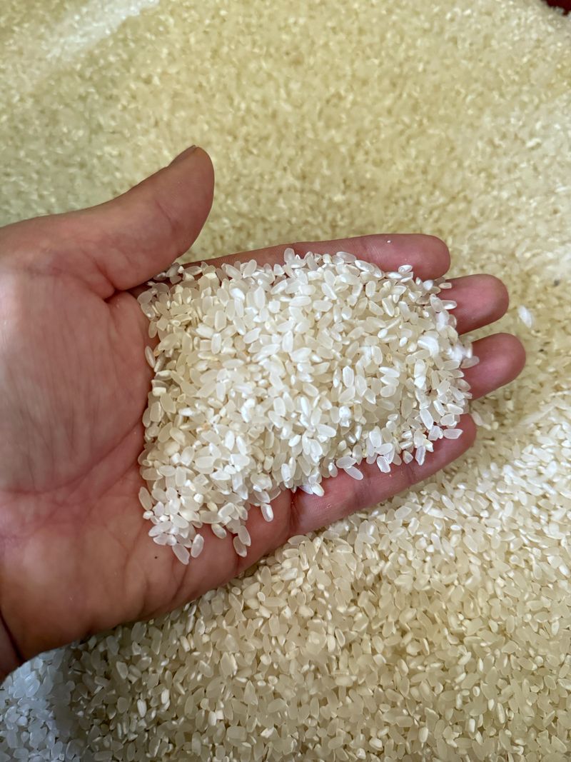 엄효섭님의 장터 판매 상품 [백옥향 20kg] 첨부 사진