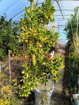 팜모닝 자유주제·자유게시판 게시글 이미지