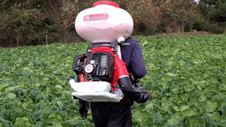 누보농장님의 자유주제 · 자유게시판 작성글 사진