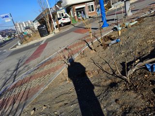 김용대님의 자유주제 · 자유게시판 작성글 사진