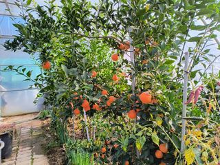 천등산미래양봉농원님의 자유주제 · 자유게시판 작성글 사진