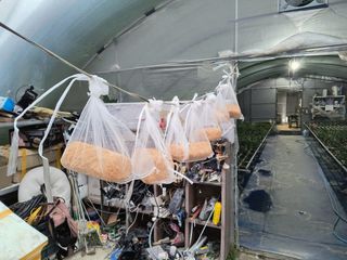 천등산미래양봉농원님의 자유주제 · 자유게시판 작성글 사진